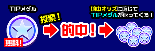 TIPメダルの解説.png