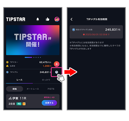 TIPメダルの遊び方_09.png