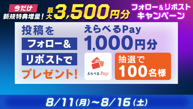 SJcAegeK20250808_16a.png